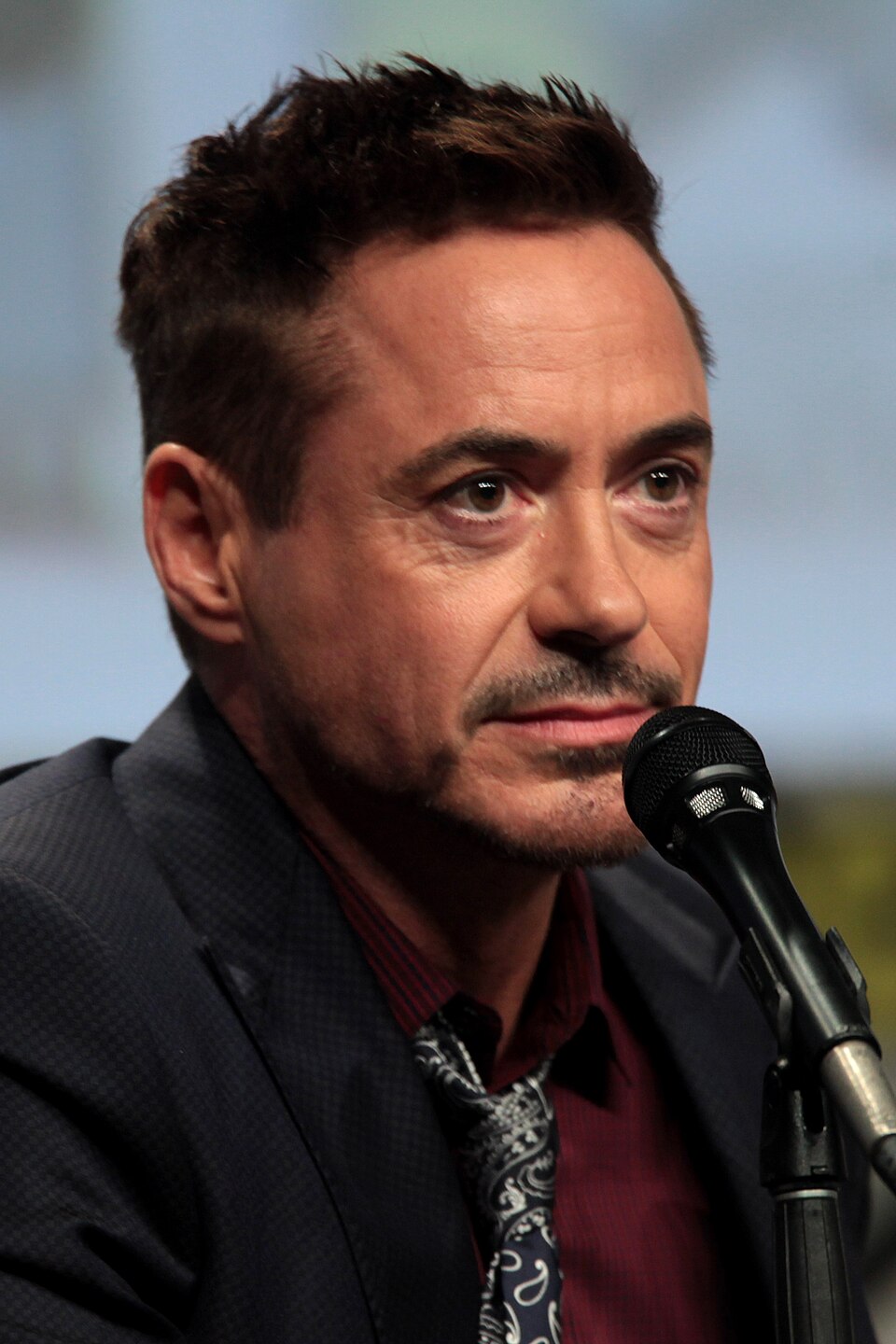 Robert Downey Jr
